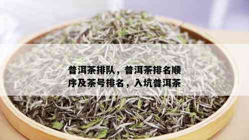 普洱茶排队，普洱茶排名顺序及茶号排名，入坑普洱茶