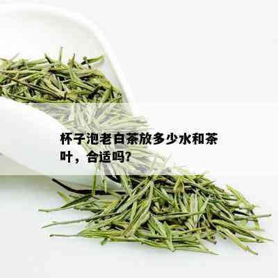 杯子泡老白茶放多少水和茶叶，合适吗？