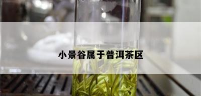 小景谷属于普洱茶区