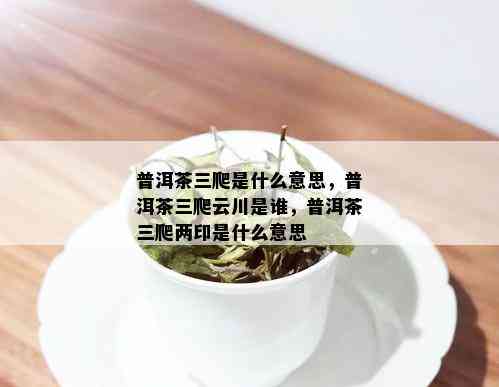 普洱茶三爬是什么意思，普洱茶三爬云川是谁，普洱茶三爬两印是什么意思