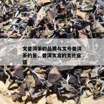 文普洱茶的品质与文号普洱茶的鉴，普洱文宫的文化底蕴