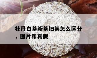 牡丹白茶新茶旧茶怎么区分，图片和真假