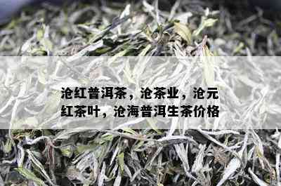 沧红普洱茶，沧茶业，沧元红茶叶，沧海普洱生茶价格