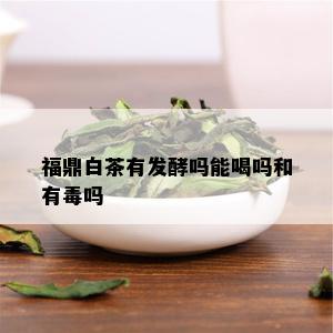 福鼎白茶有发酵吗能喝吗和有吗