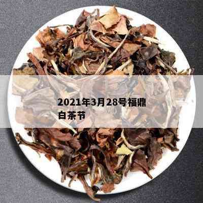 2021年3月28号福鼎白茶节