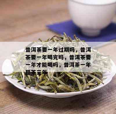 普洱茶要一年过期吗，普洱茶要一年喝完吗，普洱茶要一年才能喝吗，普洱茶一年是茶三年