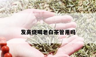 发高烧喝老白茶管用吗