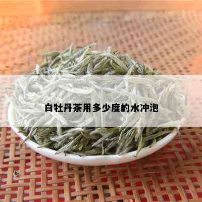 白牡丹茶用多少度的水冲泡