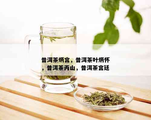 普洱茶炳宫，普洱茶叶炳怀，普洱茶丙山，普洱茶宫廷