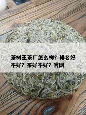 茶树王茶厂怎么样？排名好不好？茶好不好？官网