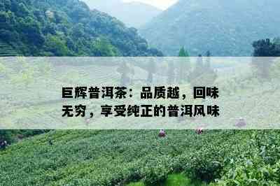 巨辉普洱茶：品质越，回味无穷，享受纯正的普洱风味