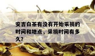 安吉白茶有没有开始采摘的时间和地点，采摘时间有多久？