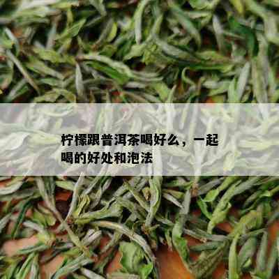 柠檬跟普洱茶喝好么，一起喝的好处和泡法