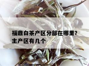 福鼎白茶产区分部在哪里？主产区有几个