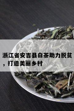 浙江省安吉县白茶助力脱贫，打造美丽乡村