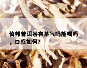 倚邦普洱茶有茶气吗能喝吗，口感如何？