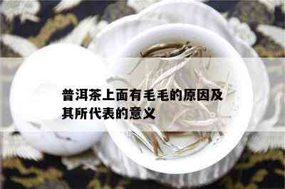 普洱茶上面有毛毛的原因及其所代表的意义