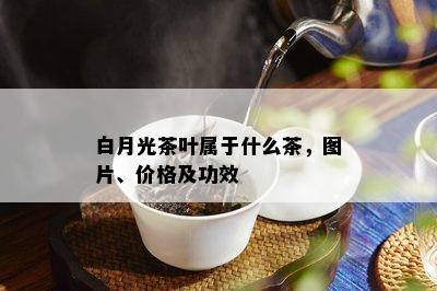 白月光茶叶属于什么茶，图片、价格及功效