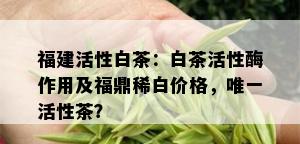 福建活性白茶：白茶活性酶作用及福鼎稀白价格，唯一活性茶？