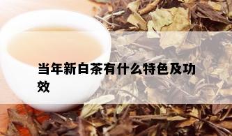 当年新白茶有什么特色及功效