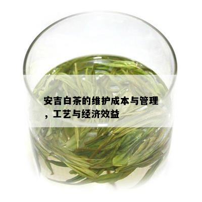 安吉白茶的维护成本与管理，工艺与经济效益