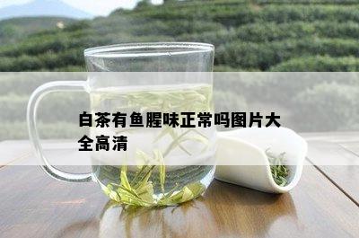 白茶有鱼腥味正常吗图片大全高清