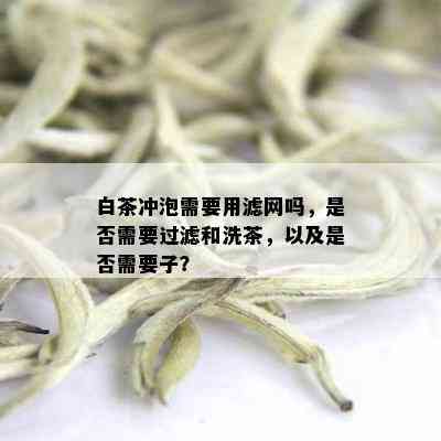 白茶冲泡需要用滤网吗，是否需要过滤和洗茶，以及是否需要子？