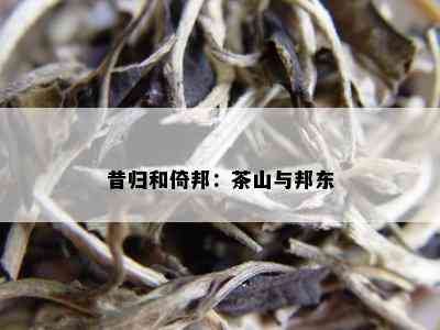 昔归和倚邦：茶山与邦东