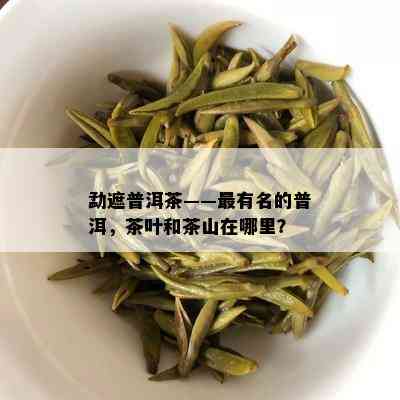 勐遮普洱茶——最有名的普洱，茶叶和茶山在哪里？