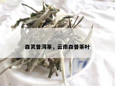 森灵普洱茶，云南森普茶叶