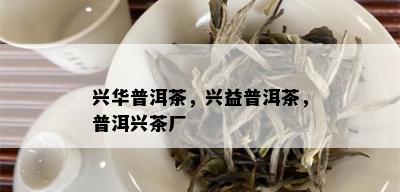 兴华普洱茶，兴益普洱茶，普洱兴茶厂