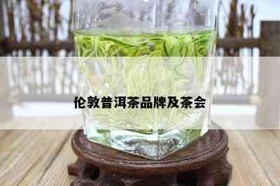 伦敦普洱茶品牌及茶会