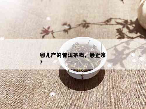 哪儿产的普洱茶喝，最正宗？