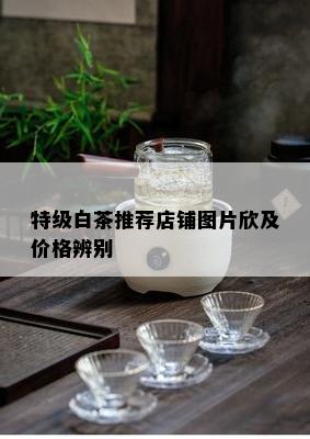 特级白茶推荐店铺图片欣及价格辨别