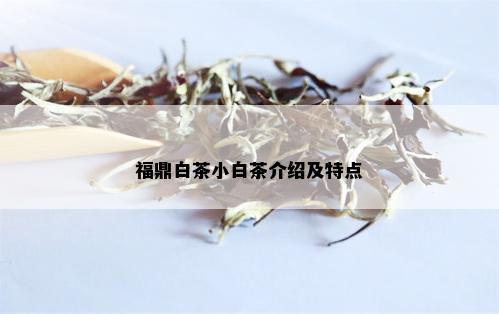 福鼎白茶小白茶介绍及特点