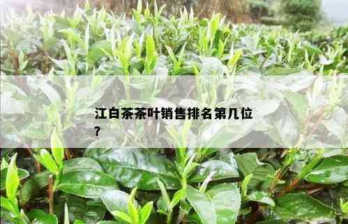 江白茶茶叶销售排名第几位？