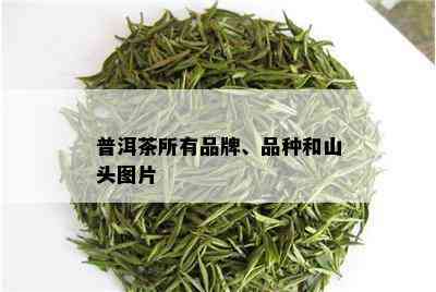 普洱茶所有品牌、品种和山头图片