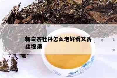 新白茶牡丹怎么泡好看又香甜视频