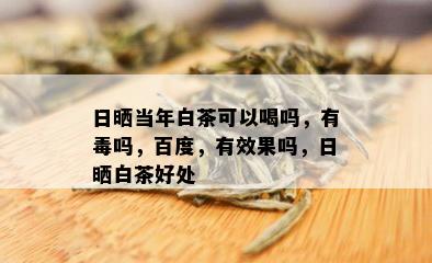 日晒当年白茶可以喝吗，有吗，百度，有效果吗，日晒白茶好处