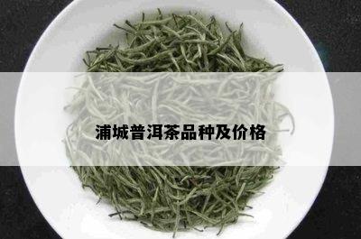 浦城普洱茶品种及价格