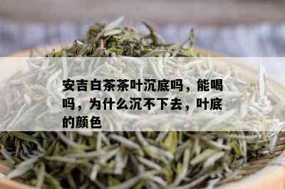 安吉白茶茶叶沉底吗，能喝吗，为什么沉不下去，叶底的颜色