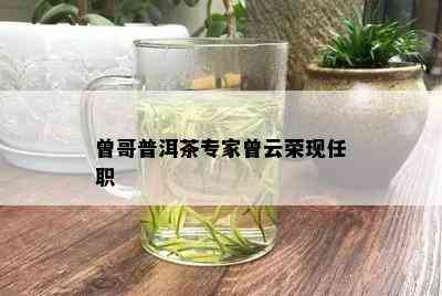 曾哥普洱茶专家曾云荣现任职