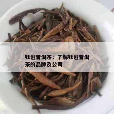 钰澄普洱茶：了解钰澄普洱茶的品牌及公司