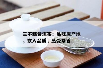 三不藏普洱茶：品味原产地，饮入品质，感受茶香