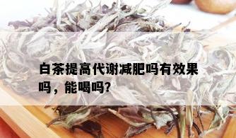 白茶提高代谢减肥吗有效果吗，能喝吗？