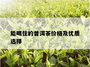 能喝住的普洱茶价格及优质选择