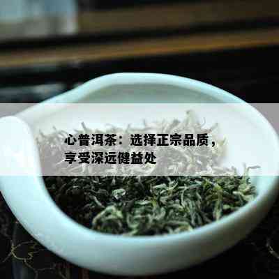 心普洱茶：选择正宗品质，享受深远健益处