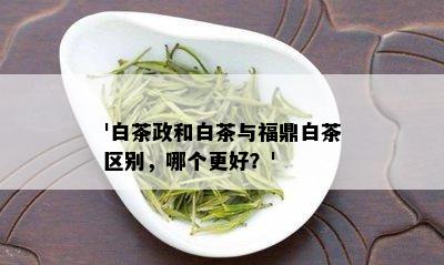 '白茶政和白茶与福鼎白茶区别，哪个更好？'