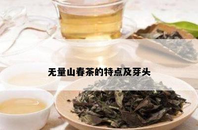 无量山春茶的特点及芽头