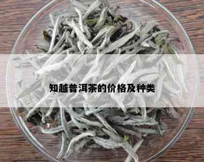 知越普洱茶的价格及种类